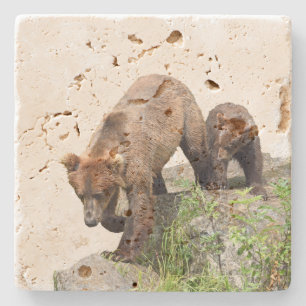 Travertine stone coaster w/ grizzly bear & cub