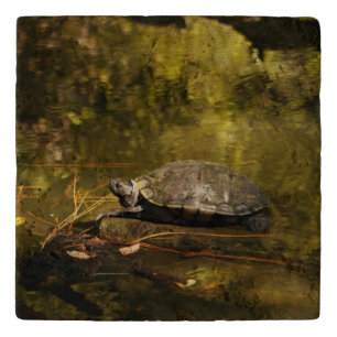 Travertine Trivet - Turtle on Log in Pond