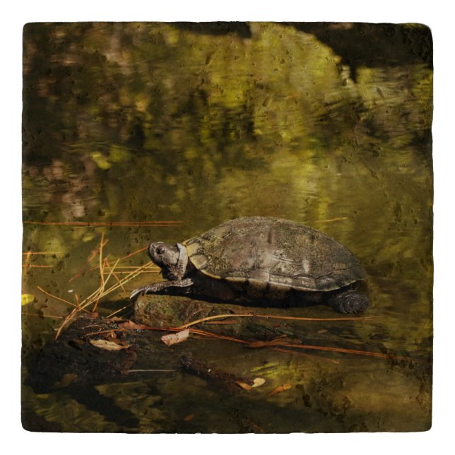 Travertine Trivet - Turtle on Log in Pond (Front)