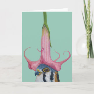 Travis the American kestrel greeting card