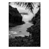 Treasure in the Jungle (Front)