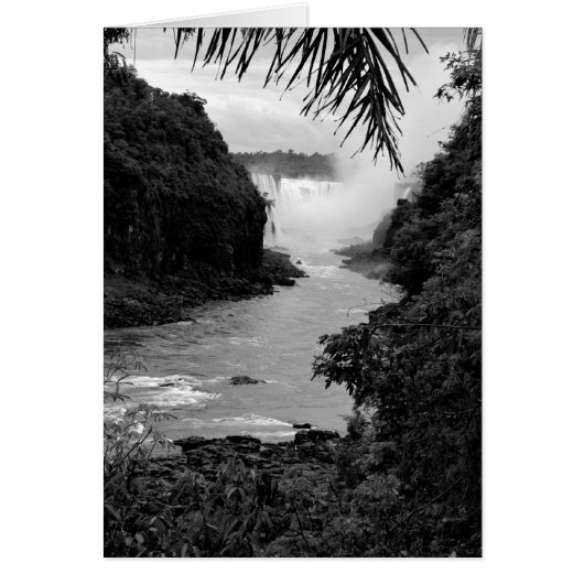 Treasure in the Jungle (Front)