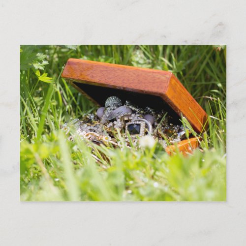 Treasure jewelry box  postcard