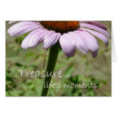Treasure Life's Moments (Front Horizontal)