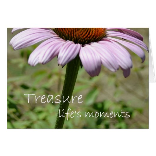 Treasure Life's Moments (Front Horizontal)