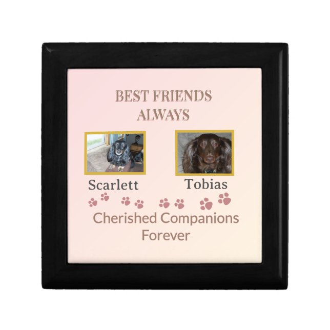 Treasured Companions Pawprint Gift Box (Front)