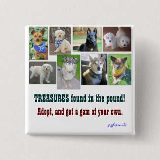 TREASURES found in the pound Button