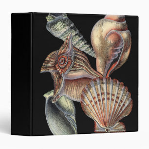 Treasures of the Sea Binder