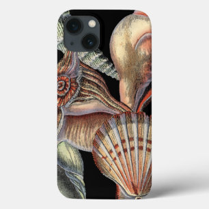 Treasures of the Sea iPhone 13 Case