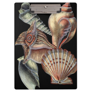 Treasures of the Sea Clipboard