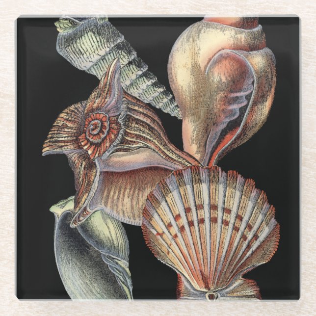 Treasures of the Sea Glass Coaster (Front)