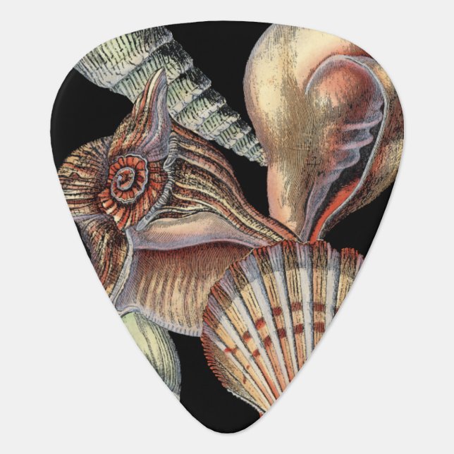 Treasures of the Sea Guitar Pick (Front)