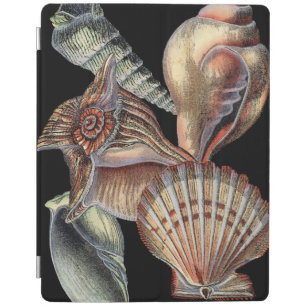 Treasures of the Sea iPad Smart Cover
