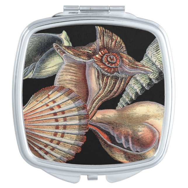 Treasures of the Sea Mirror For Makeup (Front)