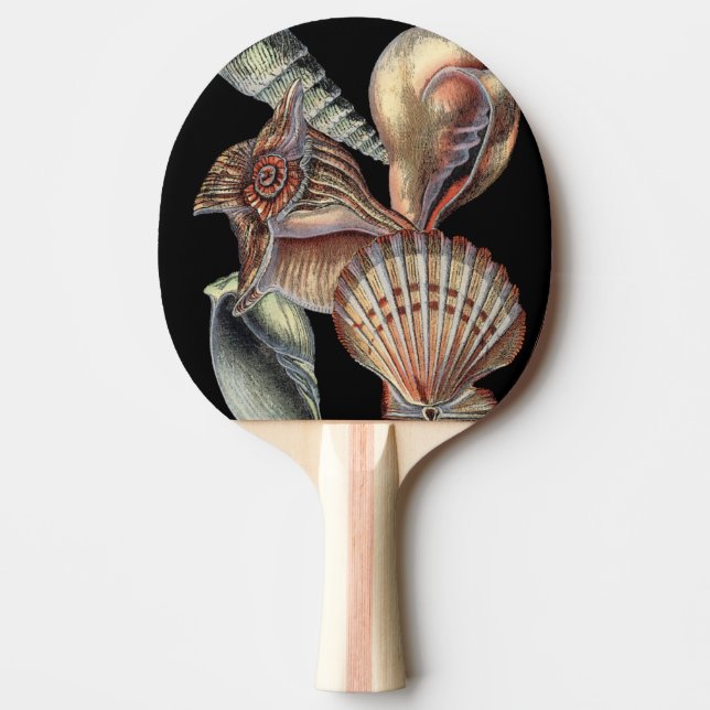 Treasures of the Sea Ping-Pong Paddle (Front)