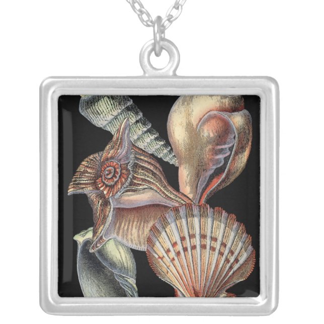 Treasures of the Sea Silver Plated Necklace (Front)
