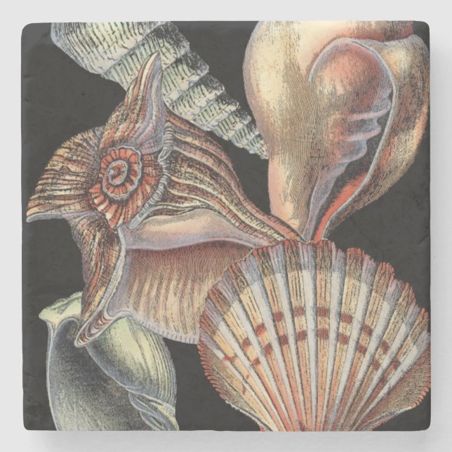 Treasures of the Sea Stone Coaster (Front)