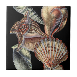Treasures of the Sea Tile