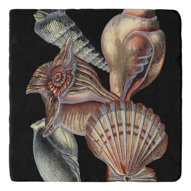 Treasures of the Sea Trivet (Front)