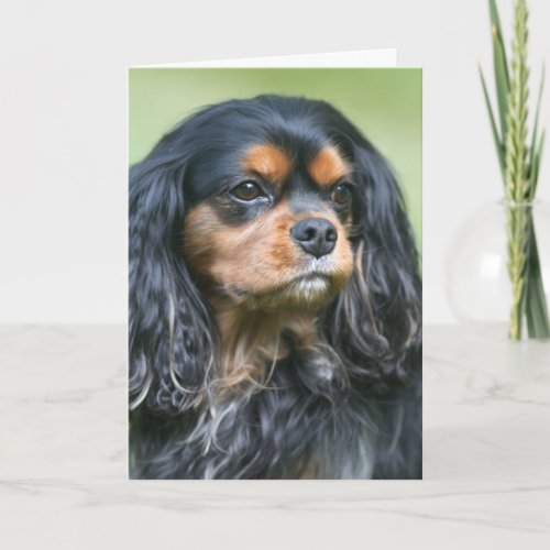 Treasuring Our Friendship Cavalier King Charles Card