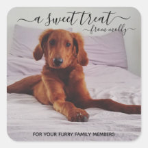 Treat Favor Stickers