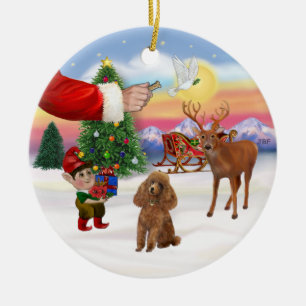Treat for a Apricot Poodle (Toy) Ceramic Ornament