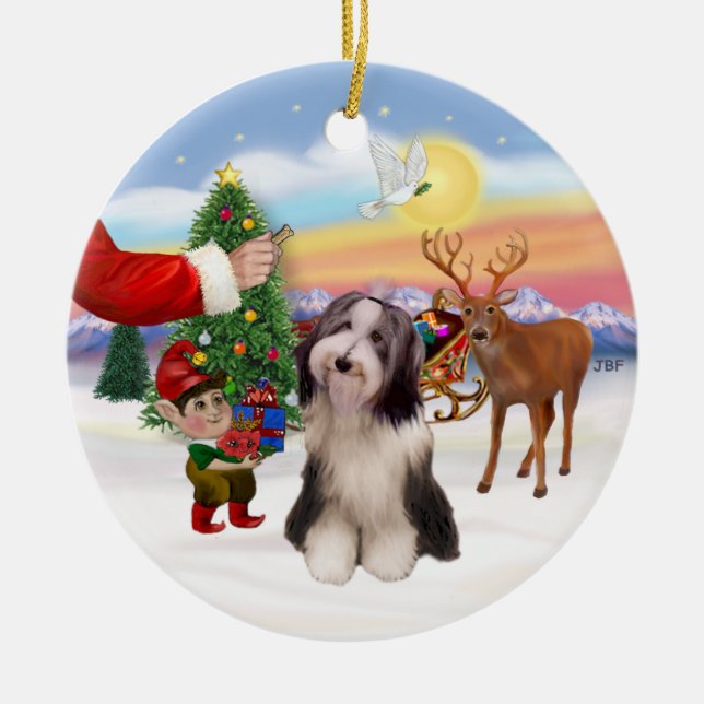 Treat for a Bearded Collie (#4) Ceramic Ornament (Front)