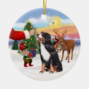 Treat for a Bernese Mountain Dog Ceramic Ornament