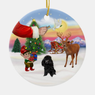 Treat for a Black Poodle (Toy) Ceramic Ornament
