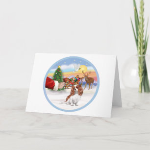 Treat for a Blenheim Cavalier Holiday Card