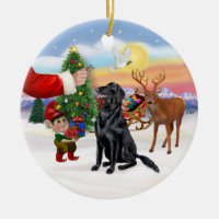 Treat for a Flat Coated Retriever