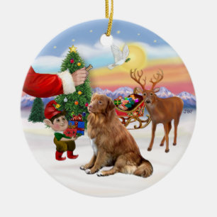 Treat for a Nova Scotia Duck Tolling Retriever Ceramic Ornament