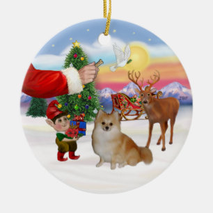 Treat for a Pomeranian Ceramic Ornament