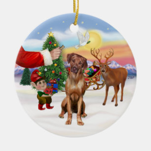 Treat for a Rhodesian Ridgeback Ceramic Ornament