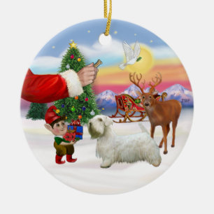 Treat for a Sealyham Terrier Ceramic Ornament