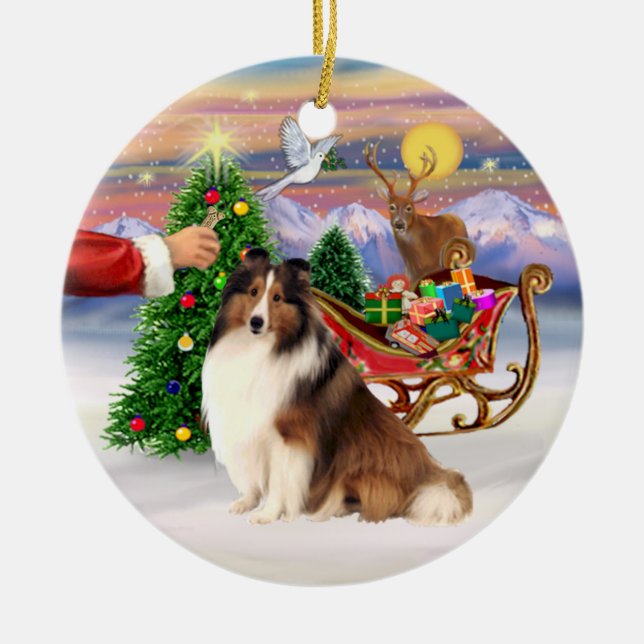 Treat for a Shetland Sheepdog (#7) Ceramic Ornament (Front)