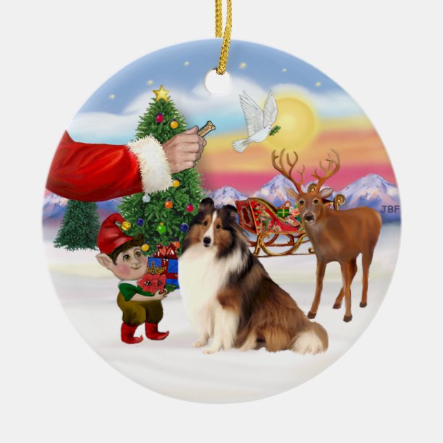 Treat for a Shetland Sheepdog (#7) Ceramic Ornament (Front)