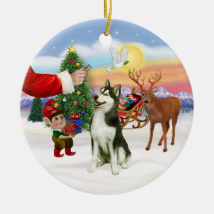 Treat for a Siberian Husky (#3) Ceramic Ornament