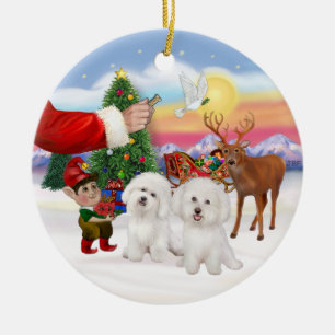 Treat forTwo Bichon Frise Ceramic Ornament