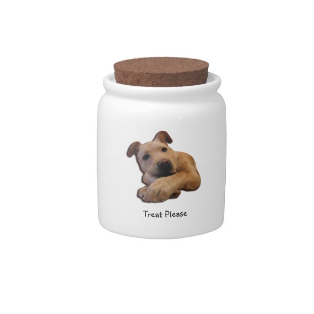 Treat Please Candy Jar (Front)