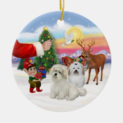 Treat_ Two Coton de Tulears Ceramic Ornament