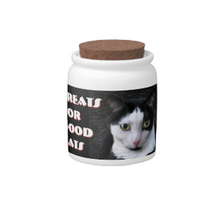 Treats for Good Cats Candy Jar