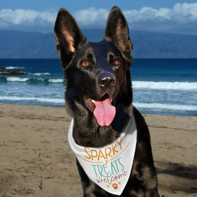 Treats Welcome Monogram Name  Pet Bandana Collar (Creator Uploaded)