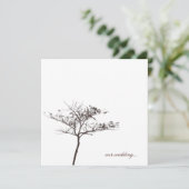 tree (Standing Front)