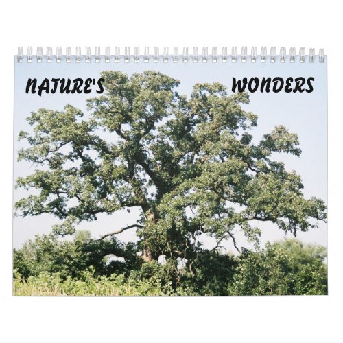 Tree_02 NATURES WONDERS Calendar