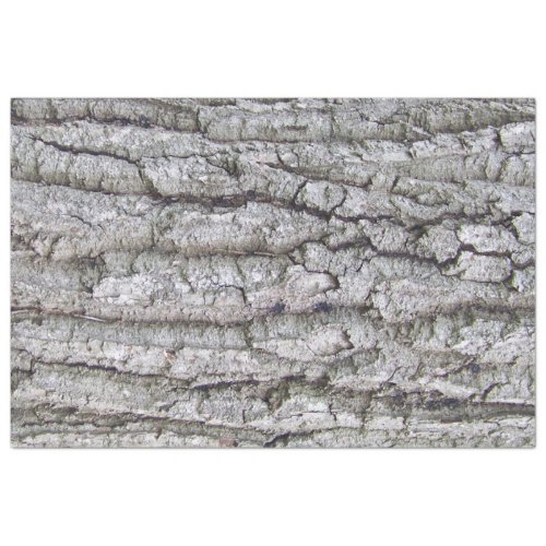 Tree 5 _ Oak Tree Bark Tissue Paper