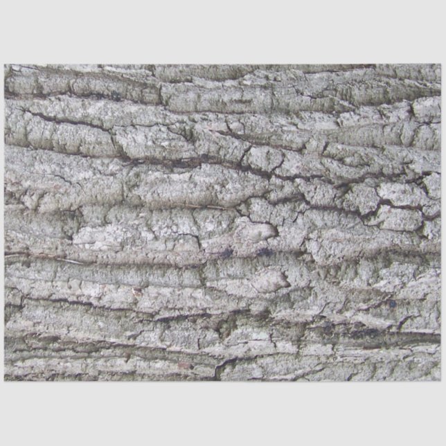 Tree 5 - Oak Tree Bark Tissue Paper (Front)
