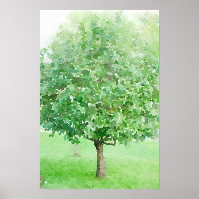 Tree Abstract Watercolor Impressionist Painting Poster (Front)