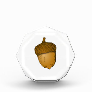 Tree Acorn Award