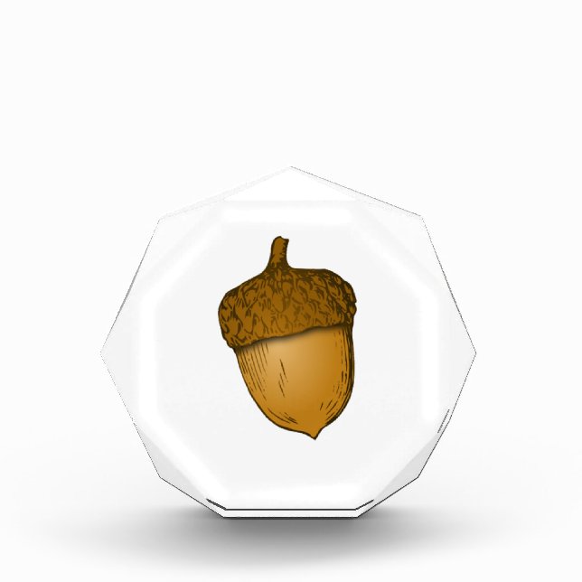 Tree Acorn Award (Front)